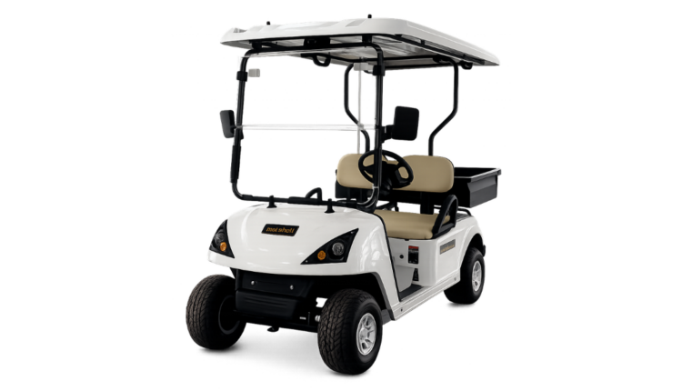 Marshell DG-C2 Electric Golf Cart | 2-Seater with Cargo Bed